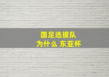 国足选拔队 为什么 东亚杯